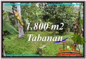 DIJUAL MURAH TANAH di TABANAN BALI 1,800 m2 di Tabanan Penebel