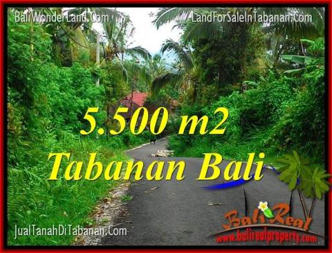 TANAH MURAH di TABANAN 5,500 m2 di Tabanan Penebel
