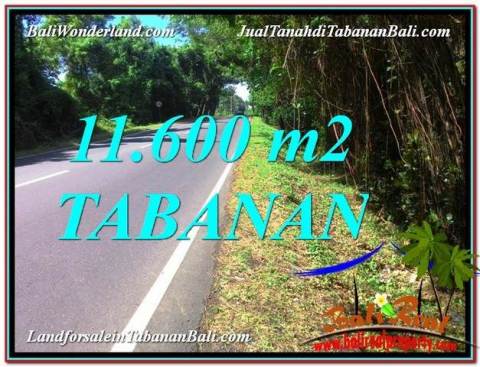 JUAL TANAH di TABANAN Untuk INVESTASI TJTB327