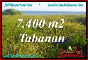 TANAH MURAH DIJUAL di TABANAN 7,400 m2 di Tabanan Selemadeg