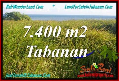 TANAH MURAH DIJUAL di TABANAN 7,400 m2 di Tabanan Selemadeg
