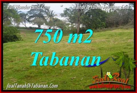 TANAH MURAH DIJUAL di TABANAN 750 m2 di Tabanan Selemadeg