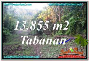 TANAH di TABANAN BALI DIJUAL 13,855 m2 di Tabanan Selemadeg